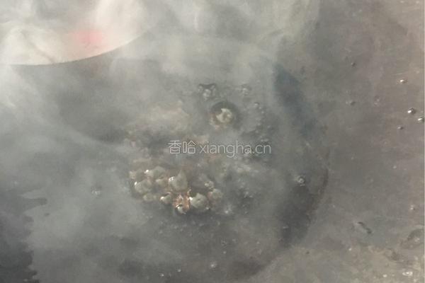红烧牛肉面的做法图解6