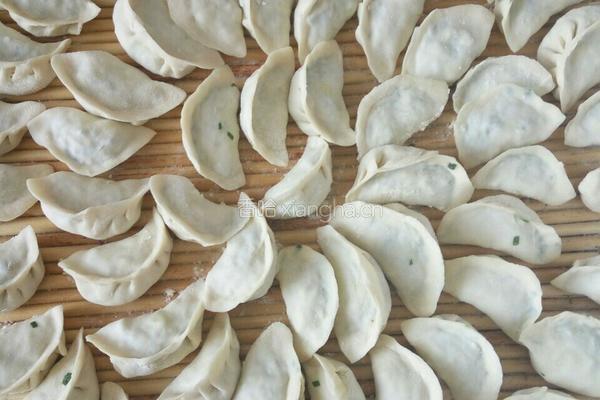 韭菜鸡蛋木耳饺子的做法图解10