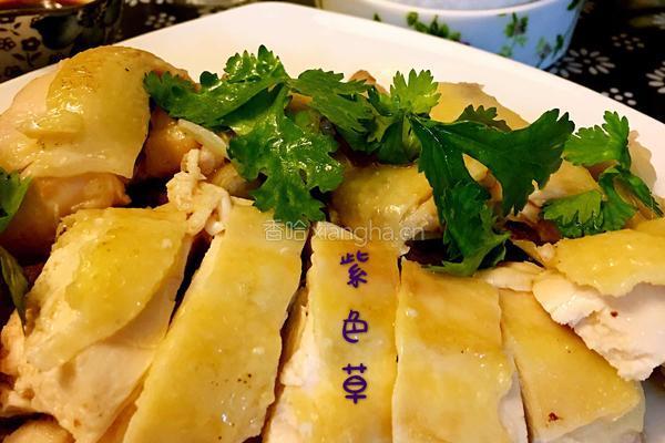 清远白切鸡的做法图解4