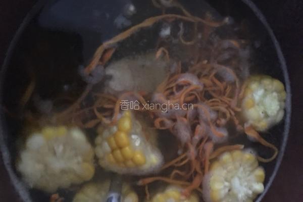 虫草花玉米龙骨汤的做法图解4