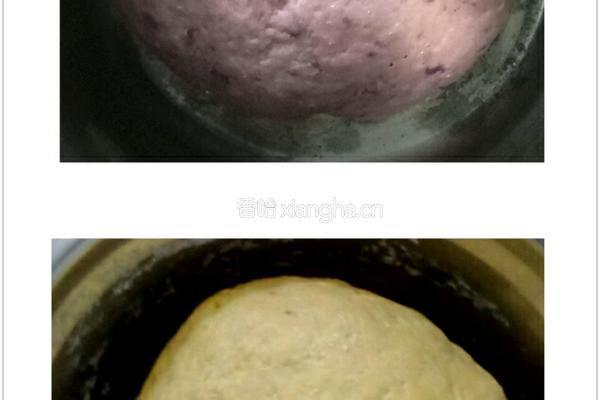 双色玫瑰馒头的做法图解7