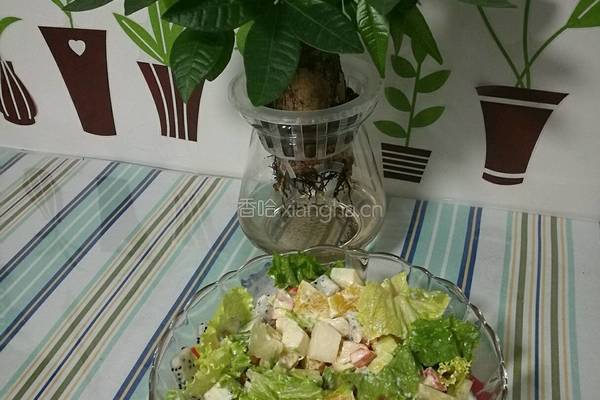 水果蔬菜沙拉的做法图解6