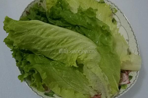 水果蔬菜沙拉的做法图解5