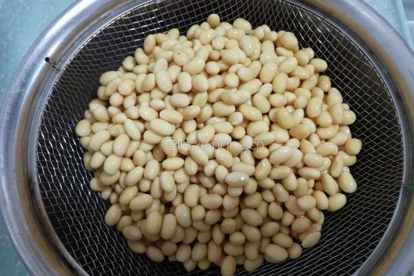茄汁焗黄豆的做法图解2