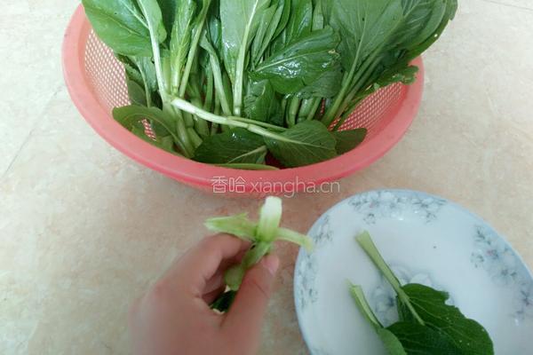 白勺青菜的做法图解2
