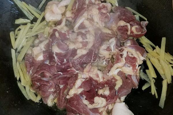 姜丝炒鸭肉的做法图解4