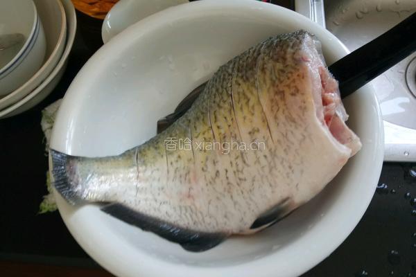 蚝油汤鳊鱼的做法图解1