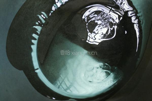 牛肉番茄粥的做法图解6