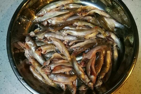 香酥小鱼条的做法图解1
