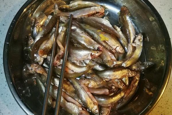 香酥小鱼条的做法图解5