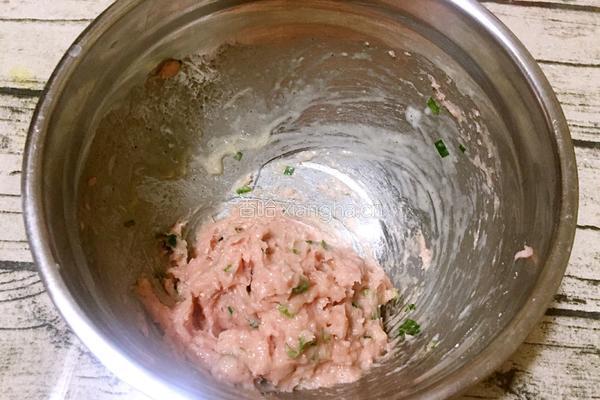 茄汁猪肉丸的做法图解3
