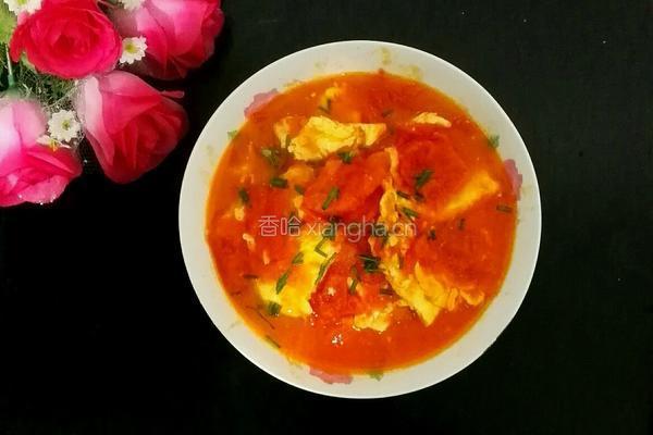 番茄炒鸡蛋的做法图解12