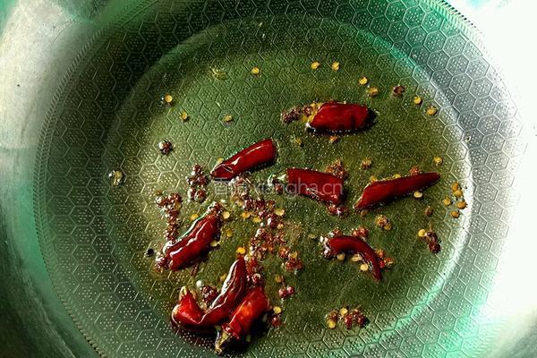 鸡肉炖粉条的做法图解5