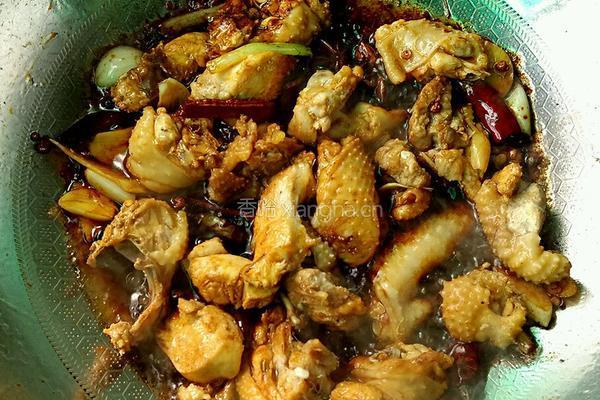 鸡肉炖粉条的做法图解7