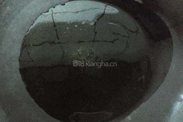 冬日夏花汤的做法图解4