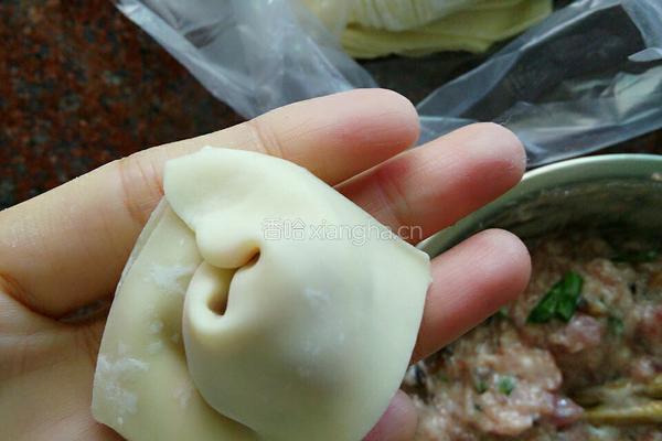 香菇肉馅馄饨的做法图解5