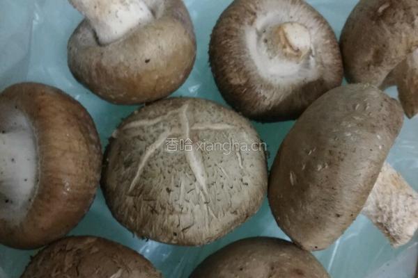 蘑菇襄肉盆景的做法图解3