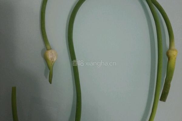 蘑菇襄肉盆景的做法图解5