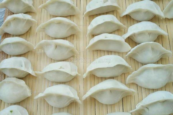 韭菜鸡蛋水饺的做法图解8