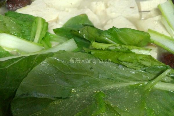 青菜豆腐靓汤的做法图解13