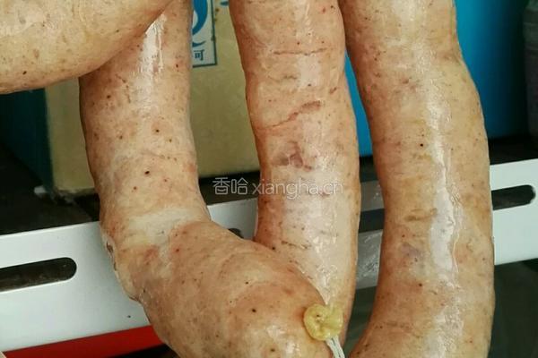 自制东北香肠的做法图解11