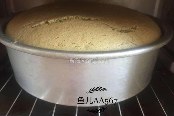 抹茶蛋糕的做法图解12
