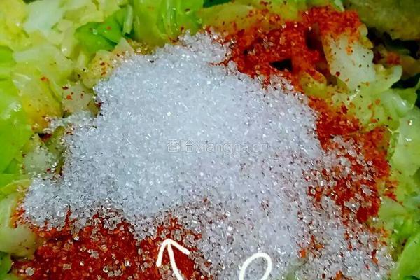 包菜泡菜的做法图解5