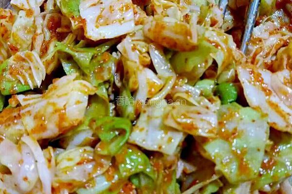 包菜泡菜的做法图解7