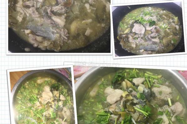 酸菜鱼的做法图解4