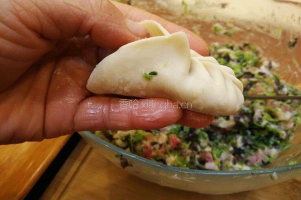 柳叶饺子的包法的做法图解21