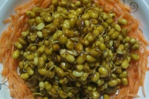 胡萝卜圈黄豆小芽