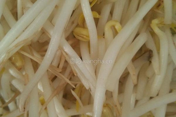 番茄配豆芽的做法图解1
