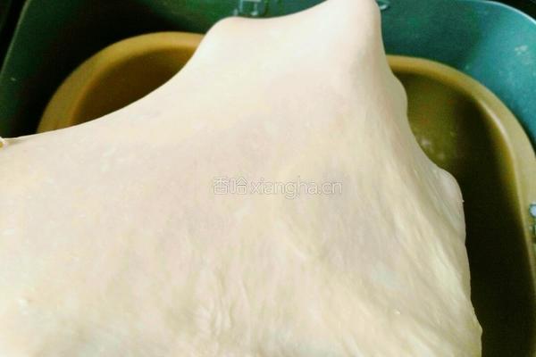 汤种椰蓉面包的做法图解5