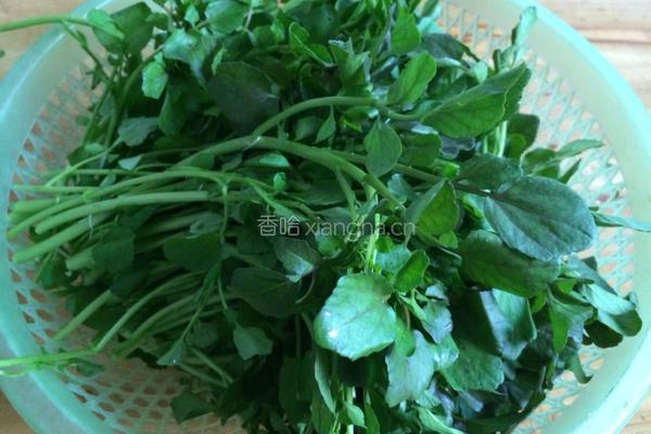 水煮西洋菜的做法图解1