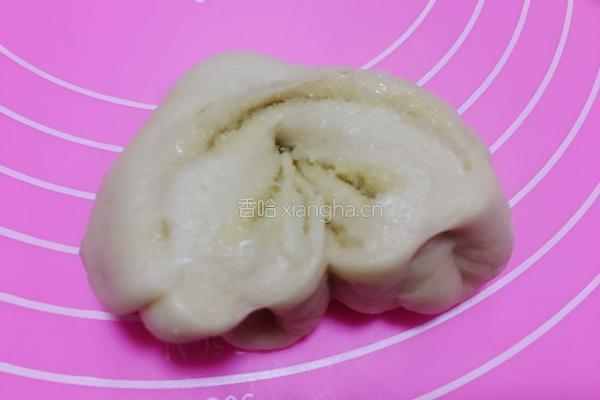 杏仁椰蓉蝴蝶包的做法图解17