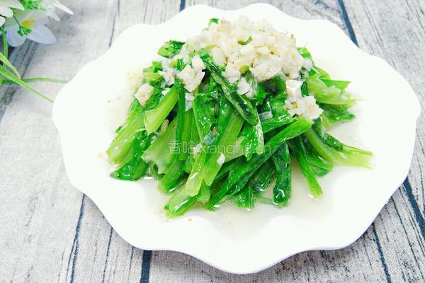 凉拌油麦菜