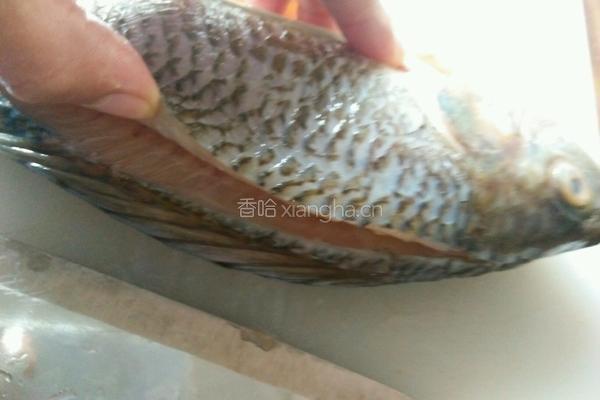 粤式清蒸鱼的做法图解3