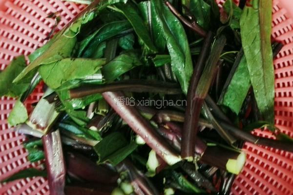 素炒苔子菜的做法图解2
