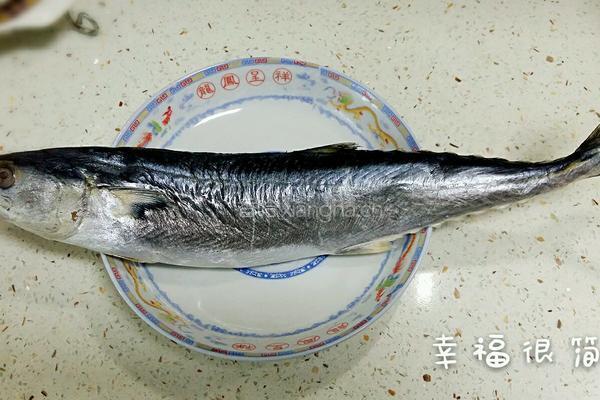 家常燕鲅鱼的做法图解1