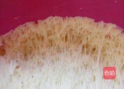 蒸馒头的做法图解4
