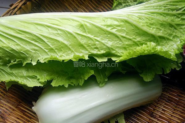 白菜炒粉丝的做法图解4