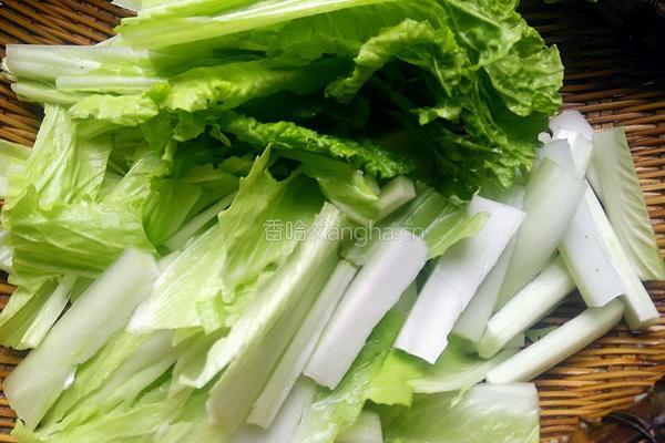 白菜炒粉丝的做法图解5