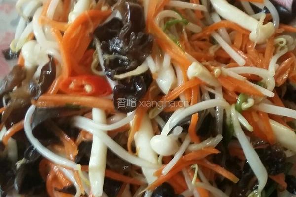 炒海鲜菇胡萝卜绿豆芽