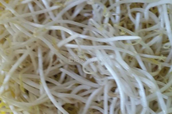 炒海鲜菇胡萝卜绿豆芽的做法图解3
