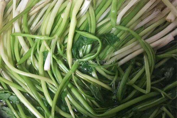 【凉拌水芹】的做法图解3