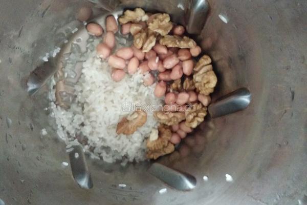 花生核桃米糊的做法图解3