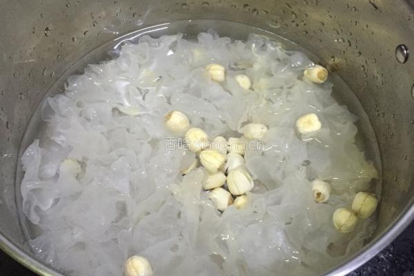 银耳莲子红枣羮的做法图解3