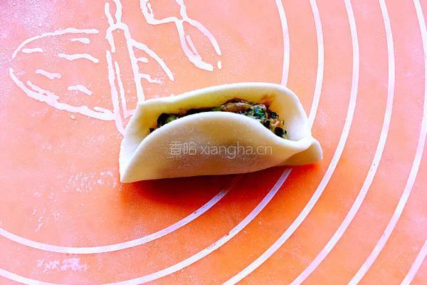 韭菜鲜肉馅饺子的做法图解16