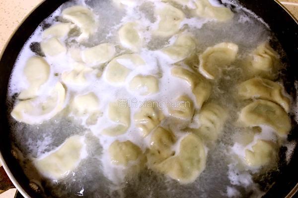 韭菜鲜肉馅饺子的做法图解22