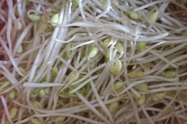 豆芽炒牛肉的做法图解1